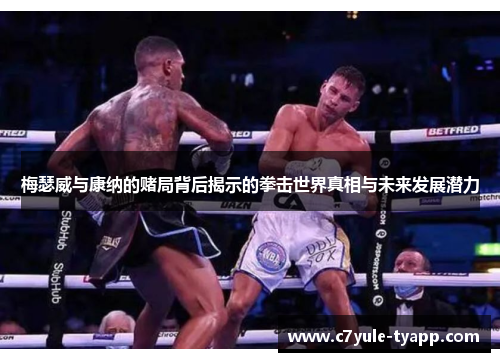 梅瑟威与康纳的赌局背后揭示的拳击世界真相与未来发展潜力