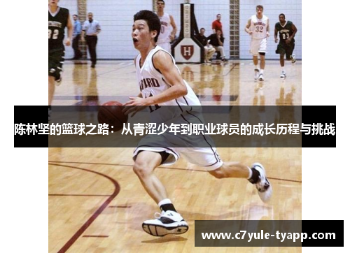 陈林坚的篮球之路：从青涩少年到职业球员的成长历程与挑战